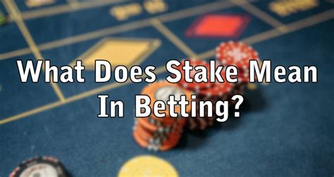 stake gambling meaning
